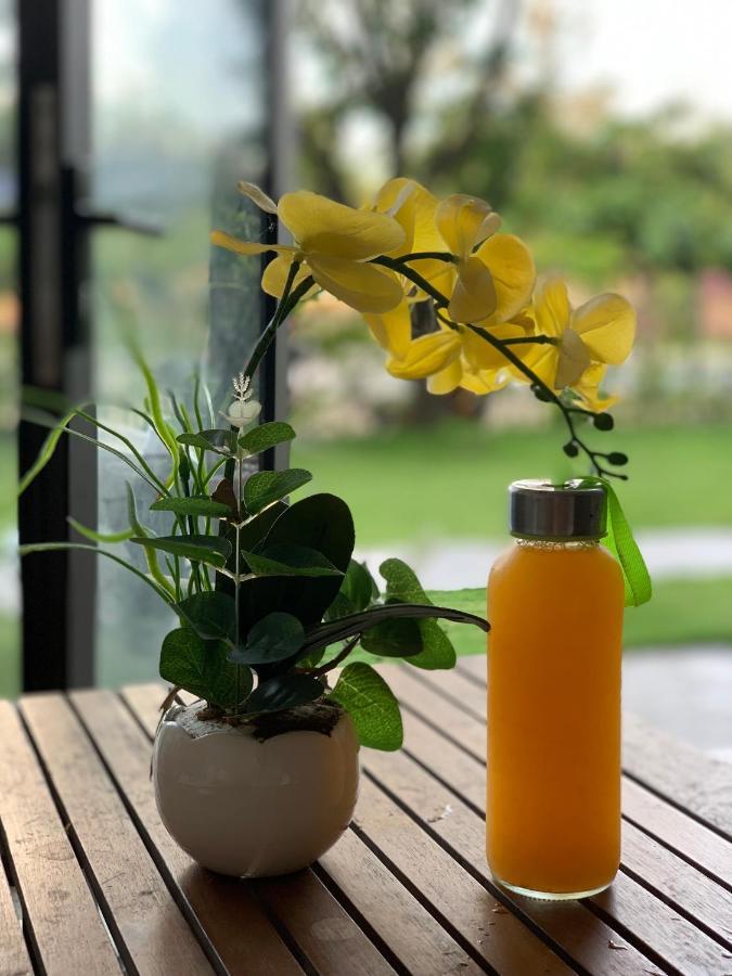 טוי הואה Minh Hoang Hotel מראה חיצוני תמונה